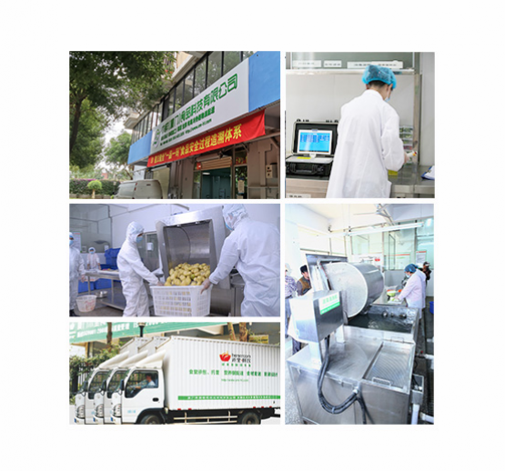 廈門(mén)禾堂餐飲企業(yè)管理有限公司